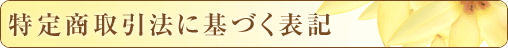 ���菤����@�Ɋ�Â��\�L