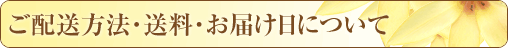 ���z�����@�E�����E���͂����ɂ���