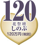 �Z�b�g�v����120�i�ŕʁj