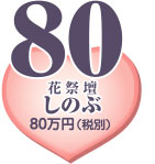 �Z�b�g�v����80�i�ŕʁj