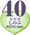 �Z�b�g�v����40�i�ŕʁj