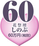 �Z�b�g�v����60�i6�ŕʁj