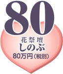 �Z�b�g�v����80�i�ŕʁj